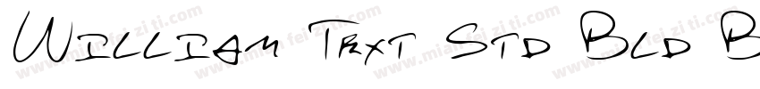 William Text Std Bld Bold字体转换